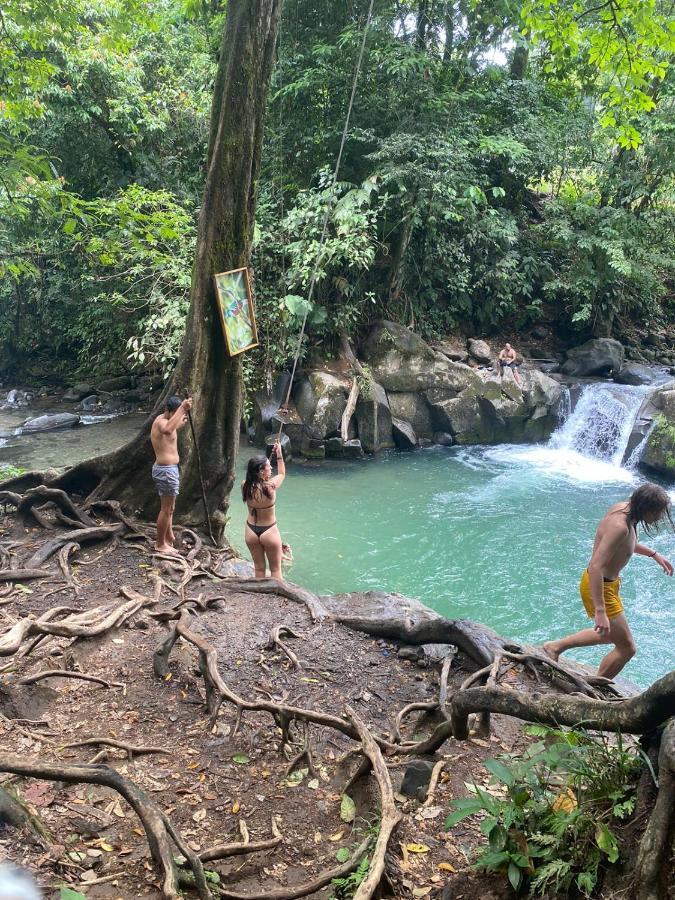 Coati Del Arenal Posada La Fortuna Kültér fotó