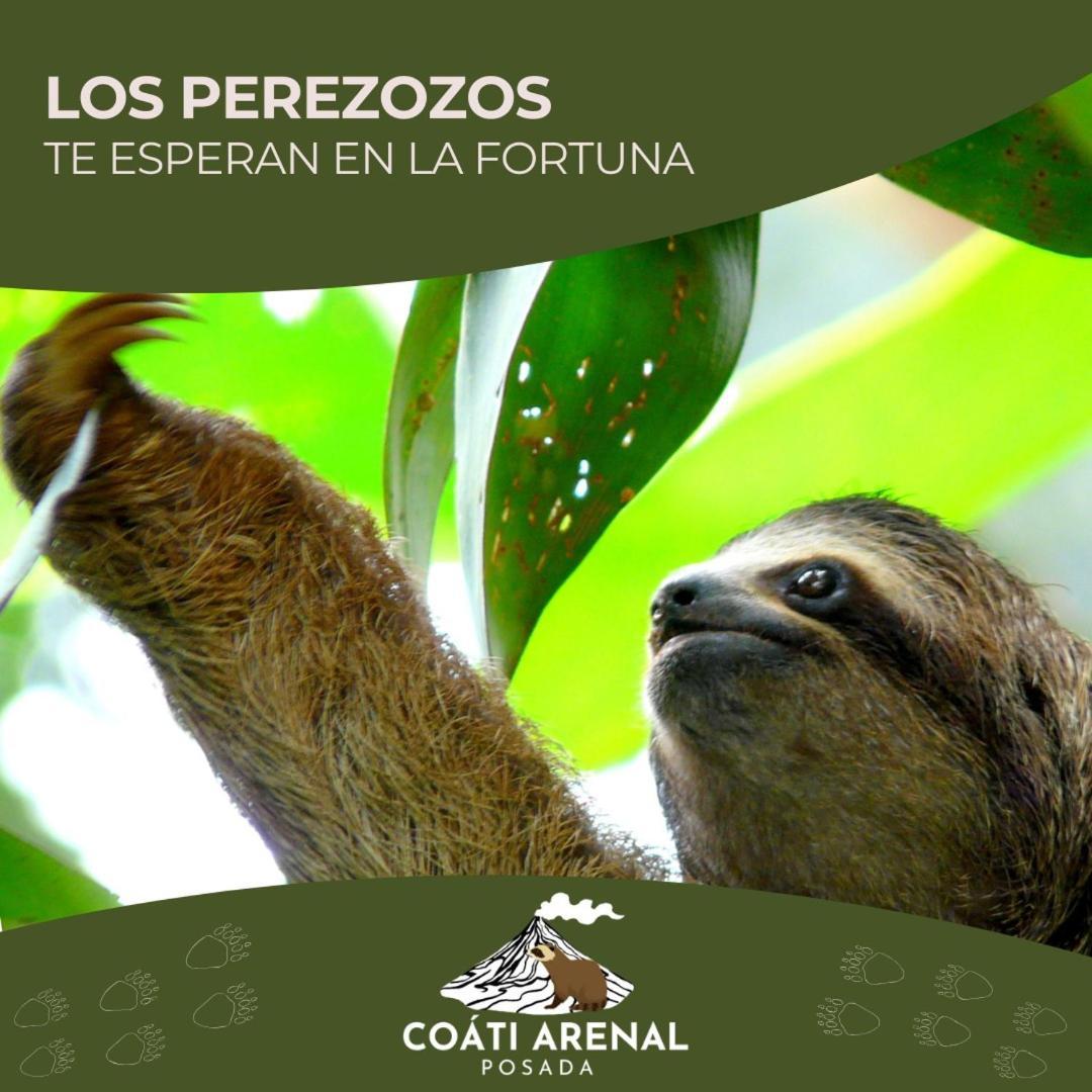 Coati Del Arenal Posada La Fortuna Kültér fotó